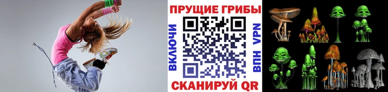 Псилоцибиновые грибы Cubensis  Губкинский 