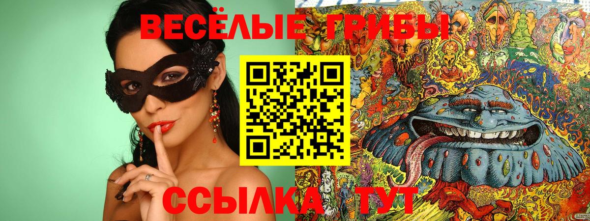 Губкинский  Галлюциногенные грибы мицелий  Вход с VPN 