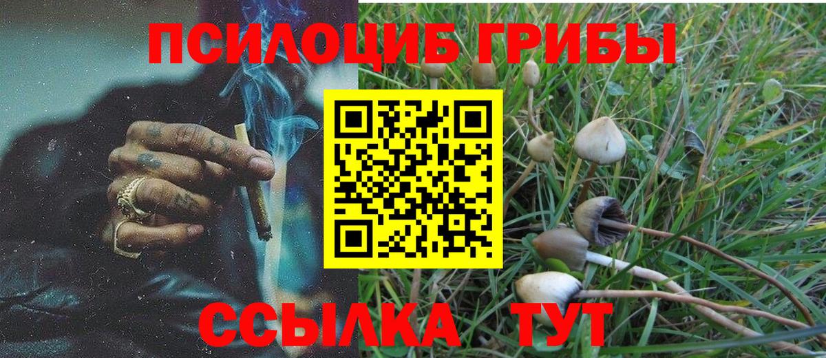 Псилоцибиновые грибы MAGIC MUSHROOMS Губкинский