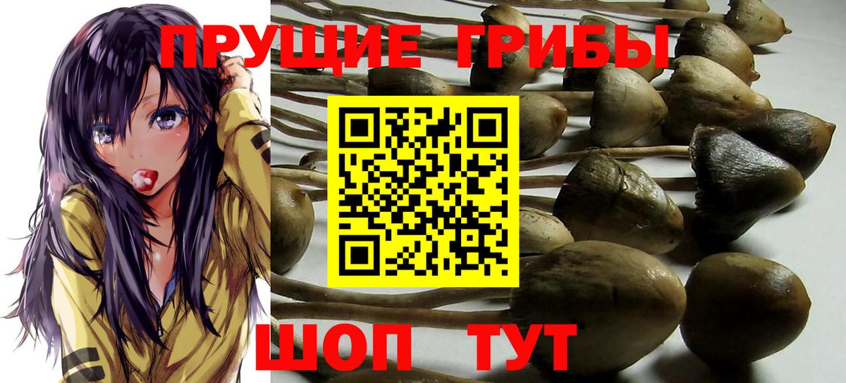 Псилоцибиновые грибы ЛСД  Губкинский 