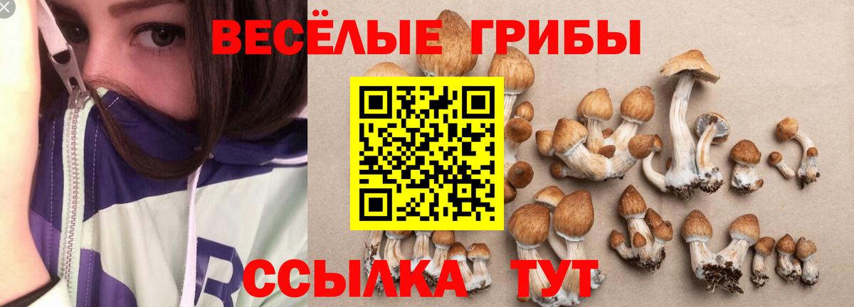 Галлюциногенные грибы прущие грибы Губкинский